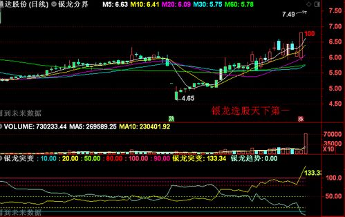 銀龍選股天下第一 通達明日一飛沖天平臺可過